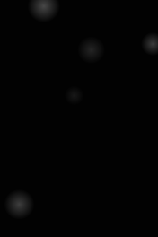 grayscale-slow-176x264 176x264