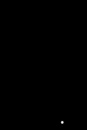 mono-slow-176x264 176x264