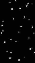 grayscale-fast-135x240 135x240