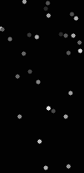 grayscale-slow-122x250 122x250