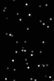 grayscale-slow-176x264 176x264