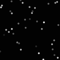 grayscale-slow-200x200 200x200