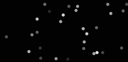 grayscale-slow-250x122 250x122
