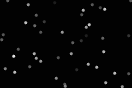 grayscale-slow-264x176 264x176