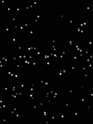 grayscale-slow-300x400 300x400