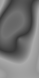 grayscale-fast-80x160 80x160