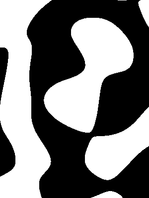 mono-slow-300x400 300x400