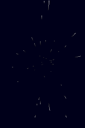 color-slow-176x264 176x264