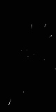 grayscale-fast-80x160 80x160