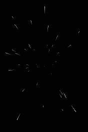 grayscale-slow-176x264 176x264