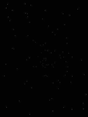 grayscale-slow-300x400 300x400
