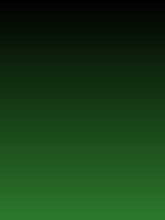 color-240x320 240x320