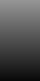 grayscale-fast-80x160-heatmap 80x160