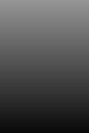 grayscale-slow-176x264-heatmap 176x264