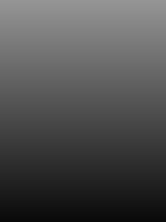 grayscale-slow-240x320-heatmap 240x320